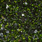 Olive Green Star Sprinkles Rhinestone