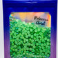 Princess Ariel Rhinestone